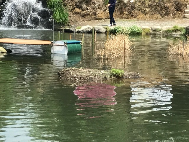 プロショップオオツカ バスフィッシング用品ネット通信販売 ブログ写真 2017/05/18