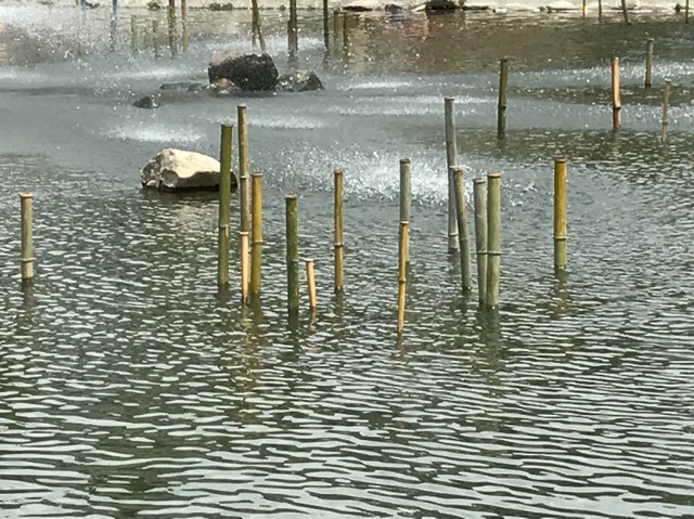 プロショップオオツカ バスフィッシング用品ネット通信販売 ブログ写真 2017/05/18