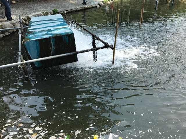 プロショップオオツカ バスフィッシング用品ネット通信販売 ブログ写真 2017/05/18