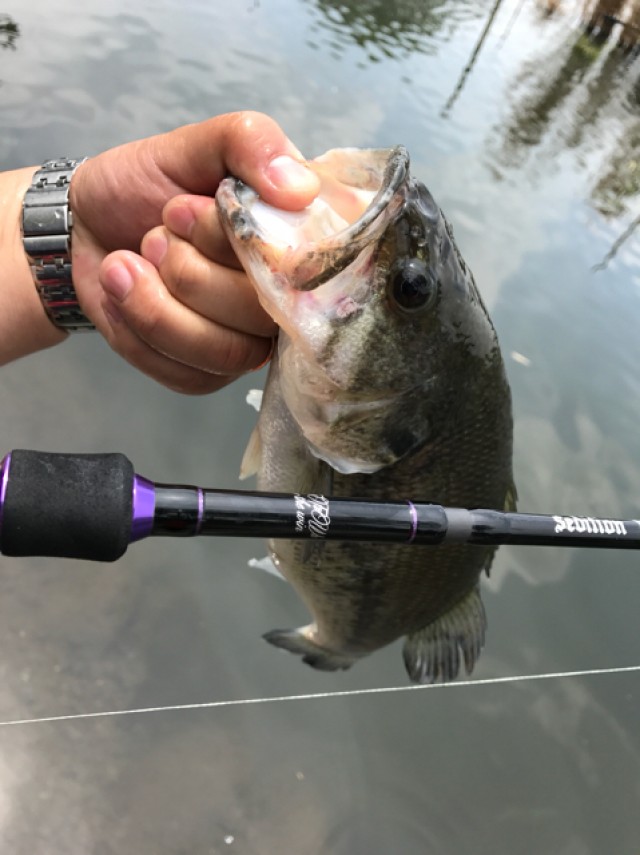 プロショップオオツカ バスフィッシング用品ネット通信販売 ブログ写真 2017/05/18