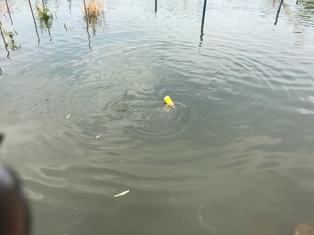 プロショップオオツカ バスフィッシング用品ネット通信販売 ブログ写真 2017/05/18