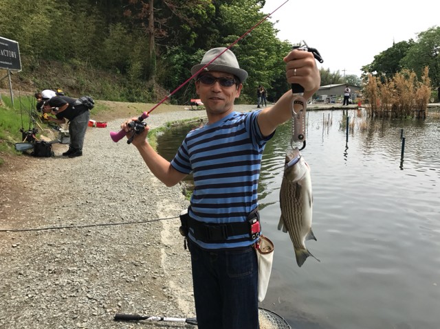 プロショップオオツカ バスフィッシング用品ネット通信販売 ブログ写真 2017/05/18