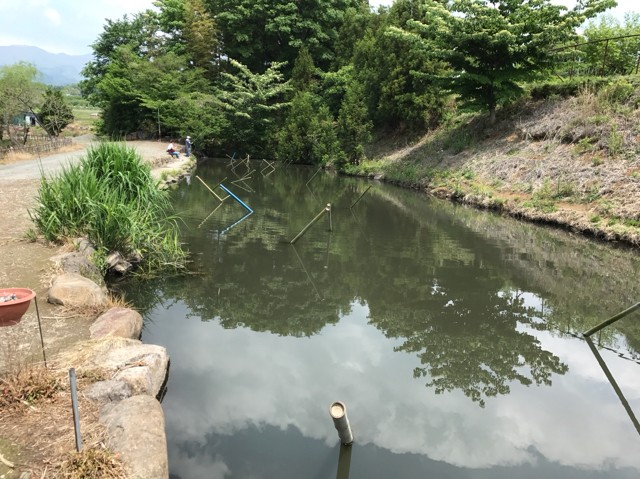 プロショップオオツカ バスフィッシング用品ネット通信販売 ブログ写真 2017/05/18