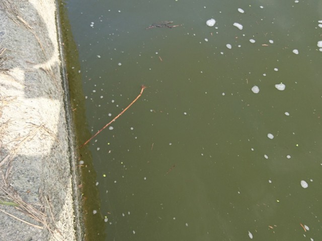 プロショップオオツカ バスフィッシング用品ネット通信販売 ブログ写真 2017/05/25