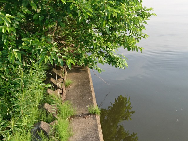 プロショップオオツカ バスフィッシング用品ネット通信販売 ブログ写真 2017/05/25