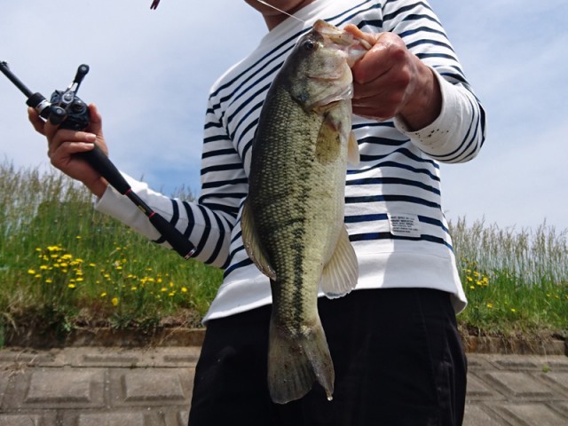 プロショップオオツカ バスフィッシング用品ネット通信販売 ブログ写真 2017/05/25