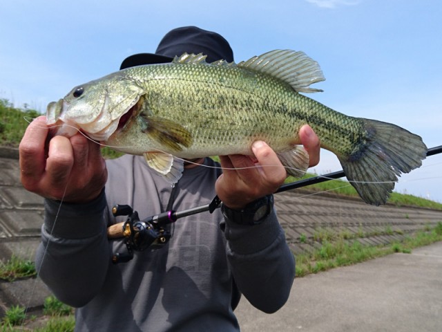 プロショップオオツカ バスフィッシング用品ネット通信販売 ブログ写真 2017/05/25