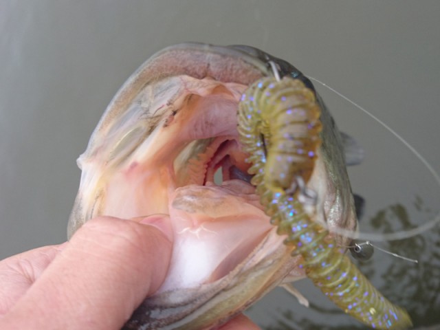 プロショップオオツカ バスフィッシング用品ネット通信販売 ブログ写真 2017/05/25