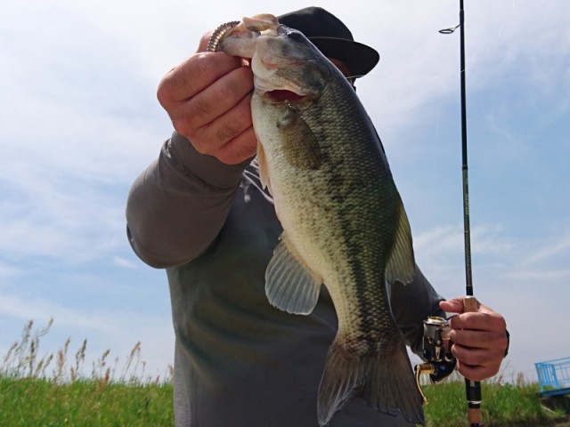 プロショップオオツカ バスフィッシング用品ネット通信販売 ブログ写真 2017/05/25