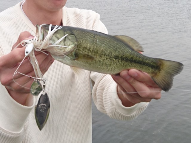 プロショップオオツカ バスフィッシング用品ネット通信販売 ブログ写真 2017/05/25