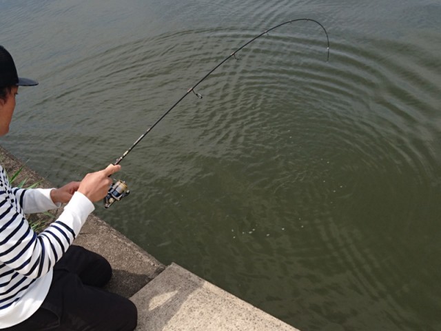 プロショップオオツカ バスフィッシング用品ネット通信販売 ブログ写真 2017/05/25