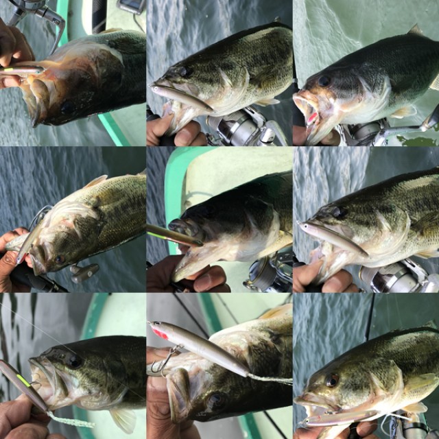 プロショップオオツカ バスフィッシング用品ネット通信販売 ブログ写真 2017/05/26