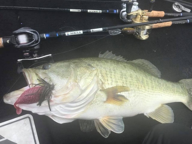 プロショップオオツカ バスフィッシング用品ネット通信販売 ブログ写真 2017/06/22