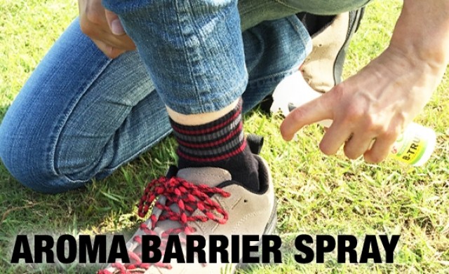 プロショップオオツカ バスフィッシング用品ネット通信販売 ブログ写真 2017/07/23