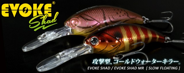 プロショップオオツカ バスフィッシング用品ネット通信販売 ブログ写真 2017/07/30