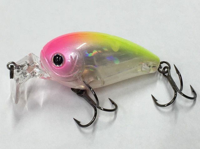 プロショップオオツカ バスフィッシング用品ネット通信販売 ブログ写真 2018/01/24