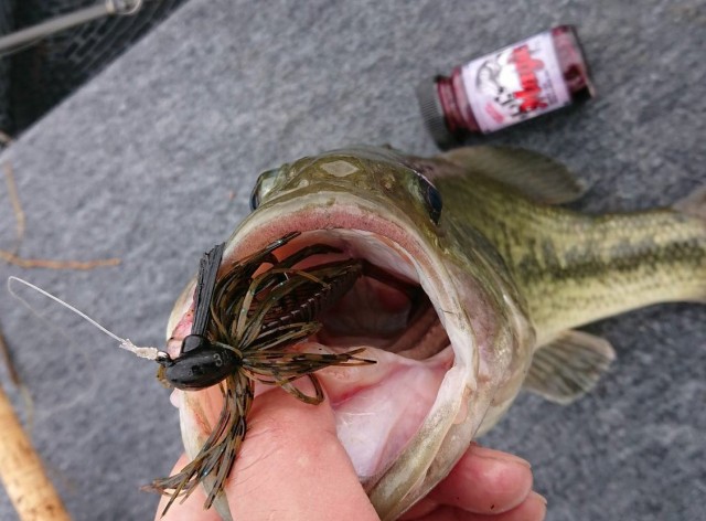 プロショップオオツカ バスフィッシング用品ネット通信販売 ブログ写真 2018/03/21