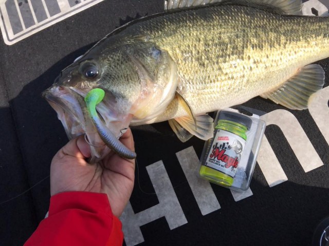 プロショップオオツカ バスフィッシング用品ネット通信販売 ブログ写真 2018/03/30