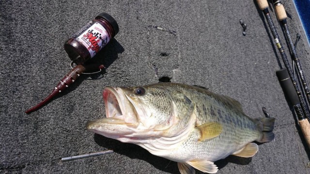 プロショップオオツカ バスフィッシング用品ネット通信販売 ブログ写真 2018/04/09