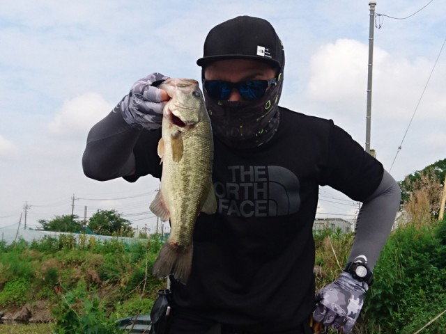 プロショップオオツカ バスフィッシング用品ネット通信販売 ブログ写真 2018/06/03