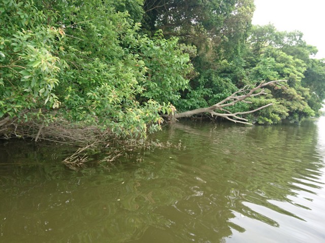 プロショップオオツカ バスフィッシング用品ネット通信販売 ブログ写真 2018/06/03