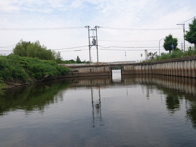 プロショップオオツカ バスフィッシング用品ネット通信販売 ブログ写真 2018/06/03