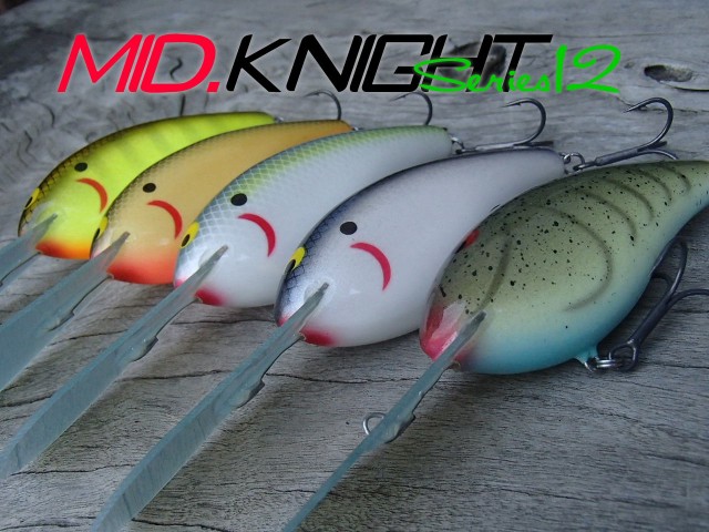 プロショップオオツカ バスフィッシング用品ネット通信販売 ブログ写真 2018/07/06