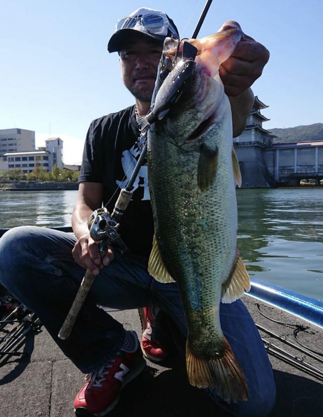 プロショップオオツカ バスフィッシング用品ネット通信販売 ブログ写真 2018/10/06