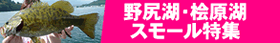 野尻湖・桧原湖スモール特集 