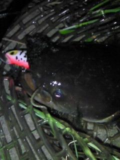 200805062240000 200805062240000