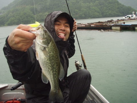 画像 006 画像 006