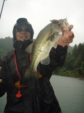 画像 007 画像 007