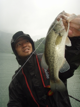 画像 010 画像 010