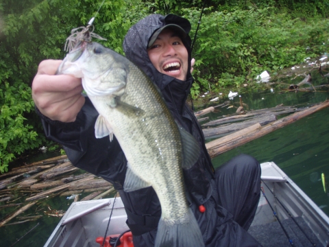 画像 012 画像 012