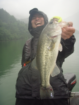 画像 014 画像 014