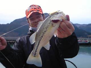 20090121070121_2.jpg 20090121070121_2.jpg