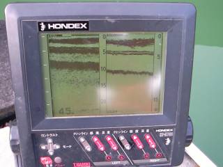 20090121070157_1.jpg 20090121070157_1.jpg