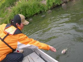 20090416060418_4.jpg 20090416060418_4.jpg