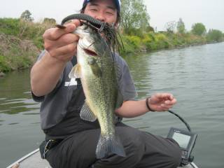 20090416060446_1.jpg 20090416060446_1.jpg