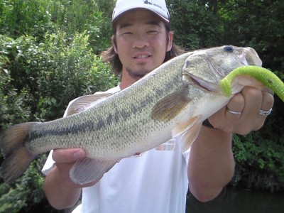 プロショップオオツカ・バスフィッシング用品専門通販サイト ブログ写真 2009/07/09