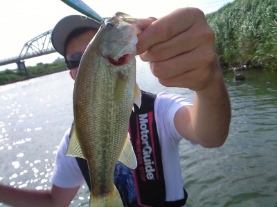 プロショップオオツカ・バスフィッシング用品専門通販サイト ブログ写真 2009/07/09