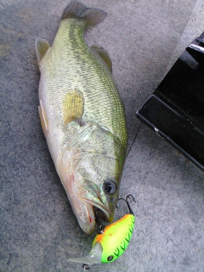 プロショップオオツカ・バスフィッシング用品専門通販サイト ブログ写真 2009/07/27