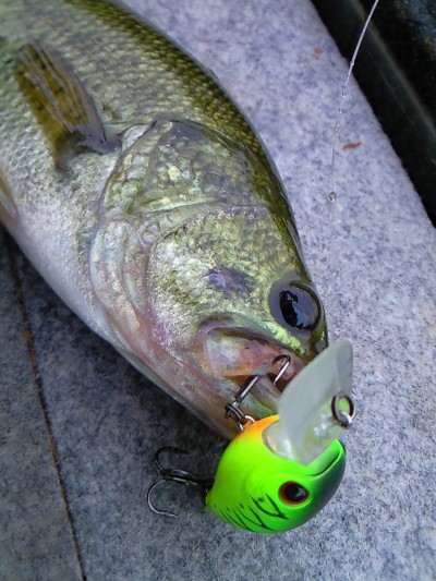 プロショップオオツカ・バスフィッシング用品専門通販サイト ブログ写真 2009/07/27