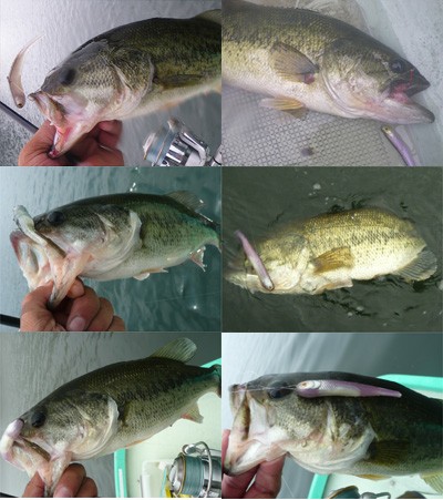 プロショップオオツカ・バスフィッシング用品専門通販サイト ブログ写真 2009/07/29