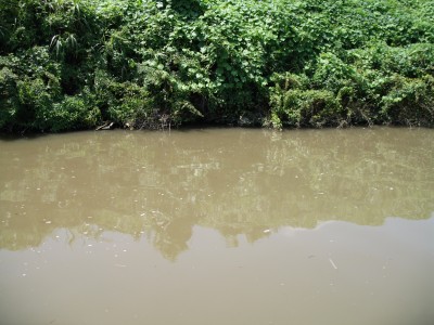 プロショップオオツカ・バスフィッシング用品専門通販サイト ブログ写真 2009/08/28