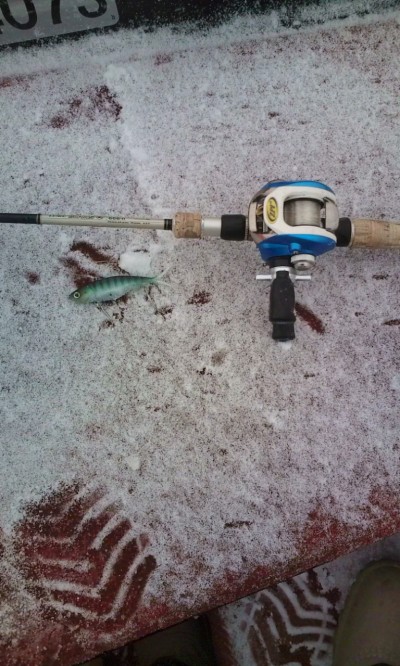 プロショップオオツカ・バスフィッシング用品専門通販サイト ブログ写真 2009/11/04