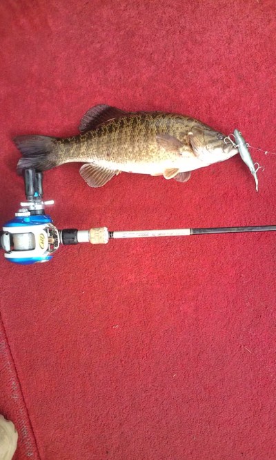 プロショップオオツカ・バスフィッシング用品専門通販サイト ブログ写真 2009/11/04