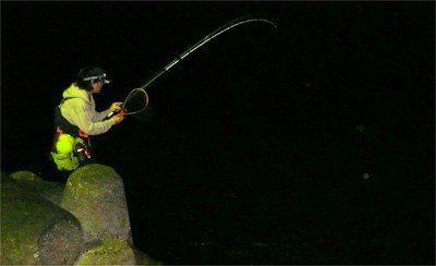 プロショップオオツカ・バスフィッシング用品専門通販サイト ブログ写真 2009/11/08