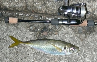 プロショップオオツカ・バスフィッシング用品専門通販サイト ブログ写真 2009/11/08