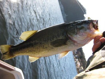  ブログ写真 2009/12/09